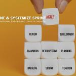 The Streamline & Systemize Sprint: Unlock Business Potential & Growth